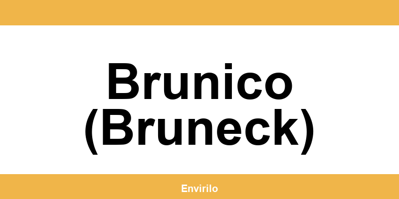 Telefono di contatto del centro UPS a Brunico (Bruneck)